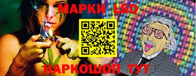 крисы Обь