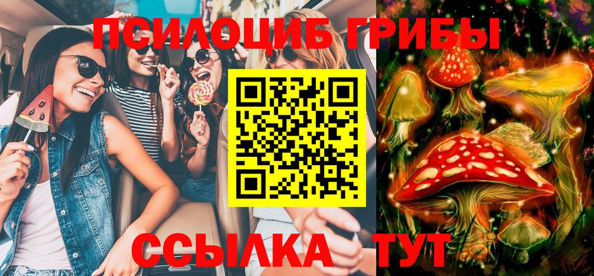 Дагестанские Огни  Псилоцибиновые грибы Psilocybine cubensis  Вход с VPN  Псилоцибиновые грибы мухоморы 