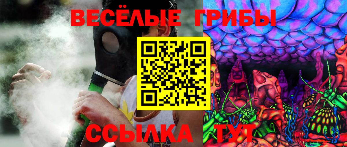 Конопля  Гашиш  Дагестанские Огни  КОКАИН  Меф кристаллы  ГАШИШ  Вход с VPN 